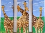 Giraffes