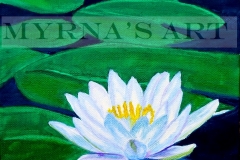Lotus Blossom