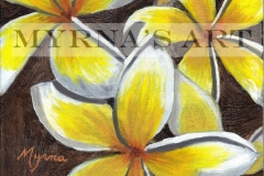 Plumaria