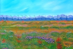 Wildflowers
