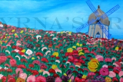 Flower Fields