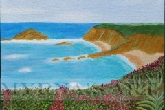 Twin Coves