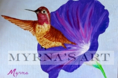 Costa Hummingbird