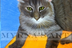 Gracie