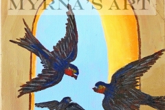 Swallows 3